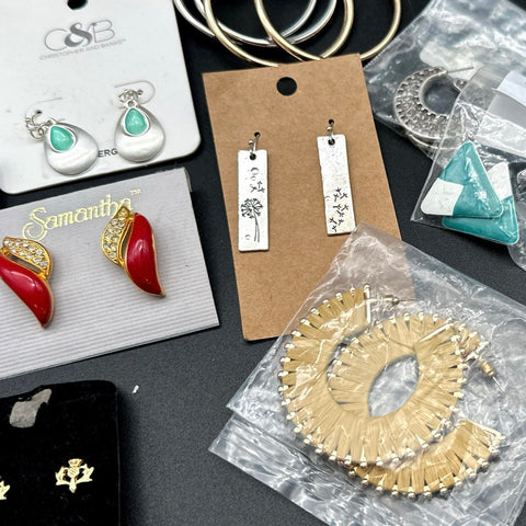 Wild Fable Style & Co Marlene VanBeek Mixed Style Earrings Jewelry Lot of 35