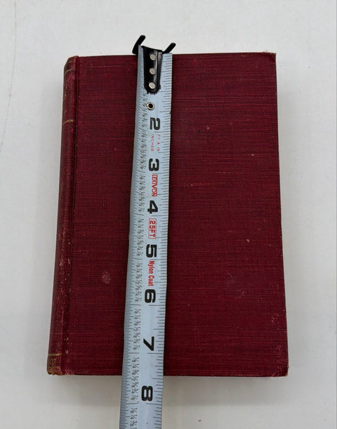 Antique Lena Rivers Mary J Holmes M A Donohue Co Hardcover Book Early 1900s