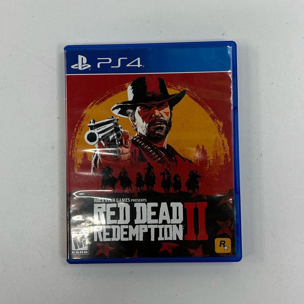 Sony Playstation 4 PS4 Red Dead Redemption 2 in Case 2 Discs UNTESTED