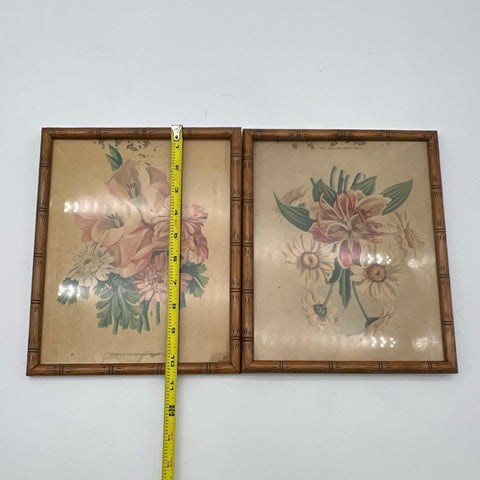 E. Witzleben Vintage Floral Prints Set 2 Gladiolas Lilies 8x10 Signed Framed