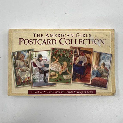 American Girl Doll Accessories Lot Wheelchair Crutches Clothes Pets Mini Doll