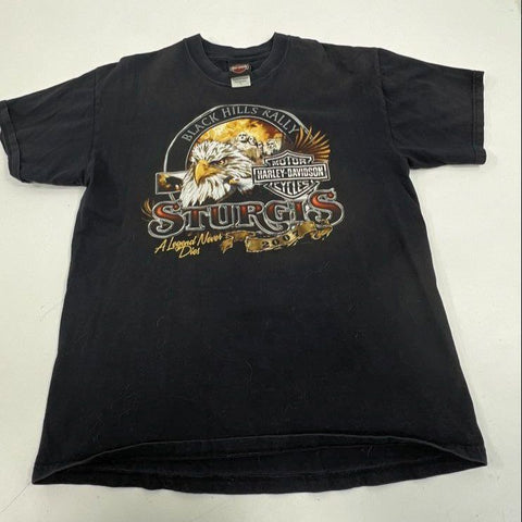 Lot 2 Vintage Y2K Harley-Davidson T-Shirt Sturgis Iowa USA Made Double Stitch L