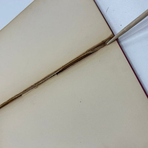 Vintage Candide by Voltaire Hardcover Book Illustrated Red Cloth Gilt Title