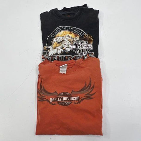 Lot 2 Vintage Y2K Harley-Davidson T-Shirt Sturgis Iowa USA Made Double Stitch L