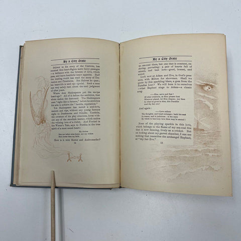 1906 Reveries of a Bachelor Ik Marvel Fenno & Co. Antique Illustrated Book