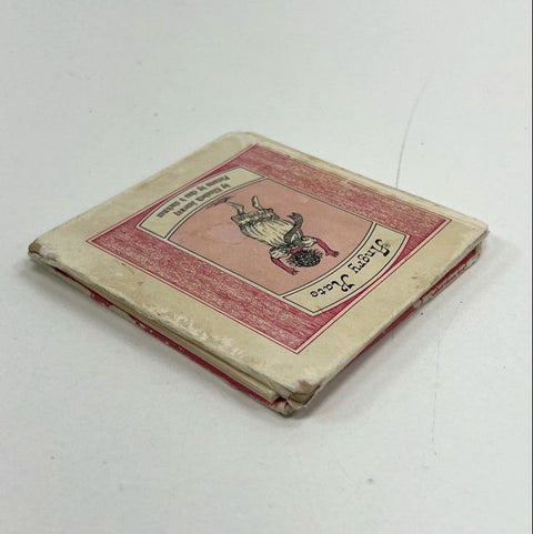 Vintage 1963 Angry Kate Children's Book Janeway Slackman HC Hardcover