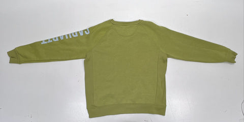 Carhartt Women's Green Relaxed Fit Logo Sleeve Crewneck Sweatshirt Size L