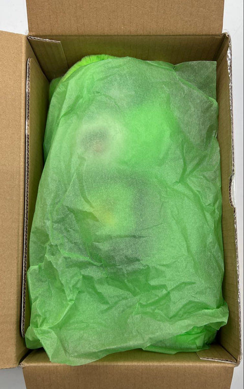 Care Bears Rock-A-Lot Good Luck Bear Plush 12 Inch Limited Edition 2023 With Box