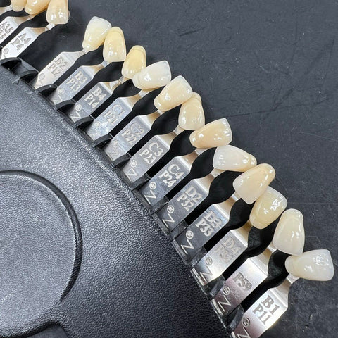 Dentsply Trubyte Portrait IPN Denture Tooth Shade Guide & Conversion Chart