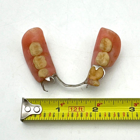 Vintage Partial Denture Mandibular Bridge Dental Oddity Medical Display Only