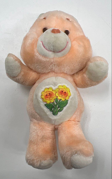 Care Bears Plush Lot Grumpy Bear and Friend Bear 10 Inch Stuffed Animals 2