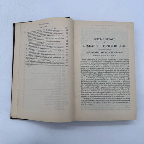 Antique 1923 Diseases of the Horse Book USDA Revised Edition Lloyd Thurston