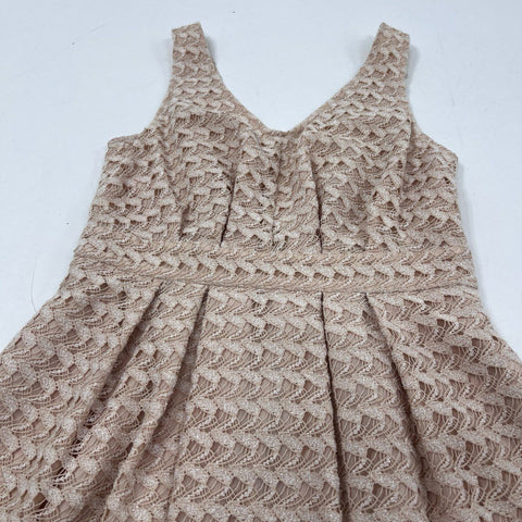 BCBGeneration Women's Nude Blush Lace Pleated Fit Flare V-Neck Dress Sz 4 NWT