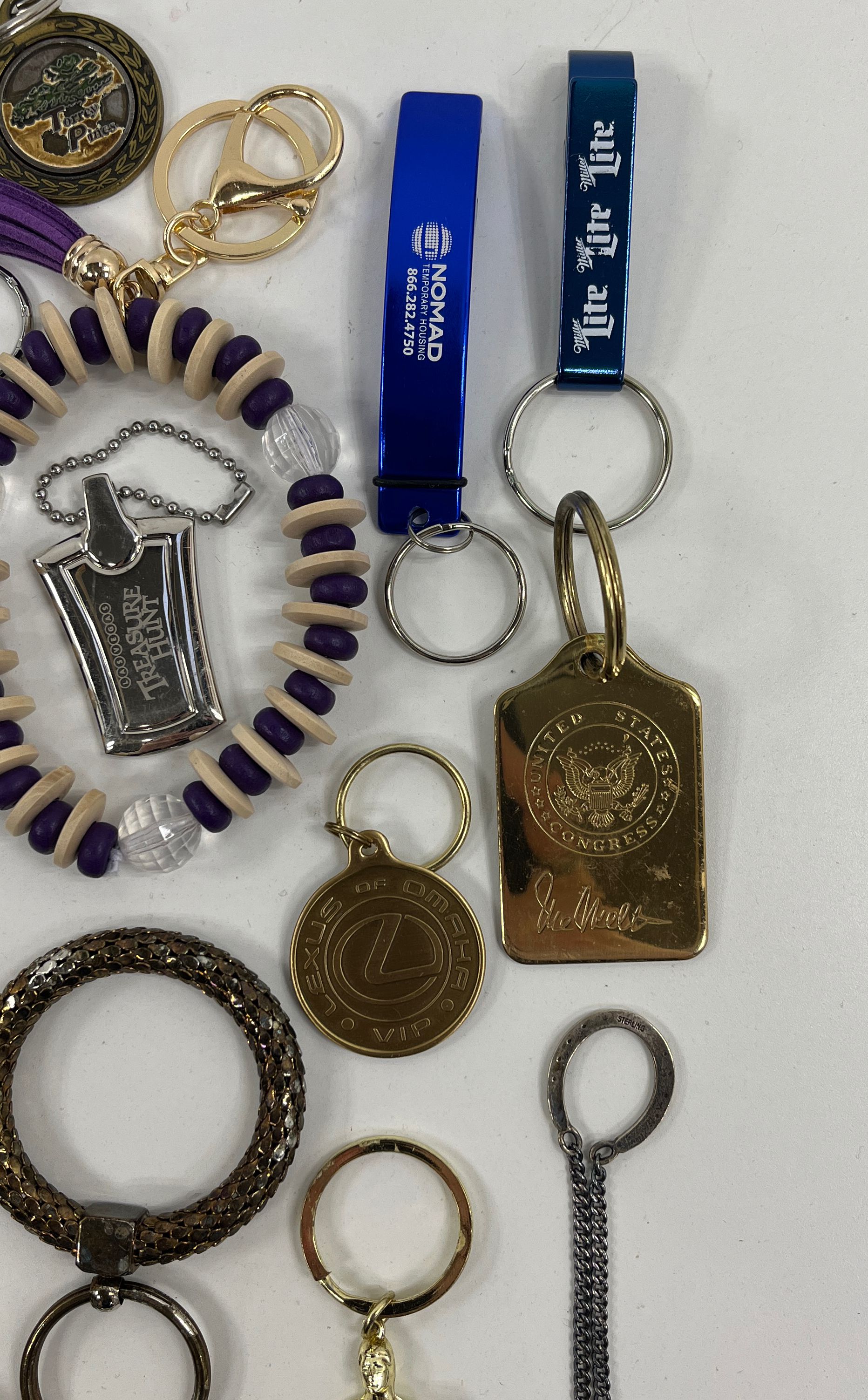 Assorted Keychain Lot Mixed Styles Various Sizes Themes Uses