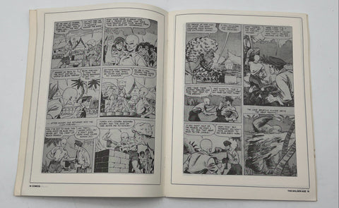 Comics The Golden Age #3 New Media Publishing 1985 Batman Tribute Goulart