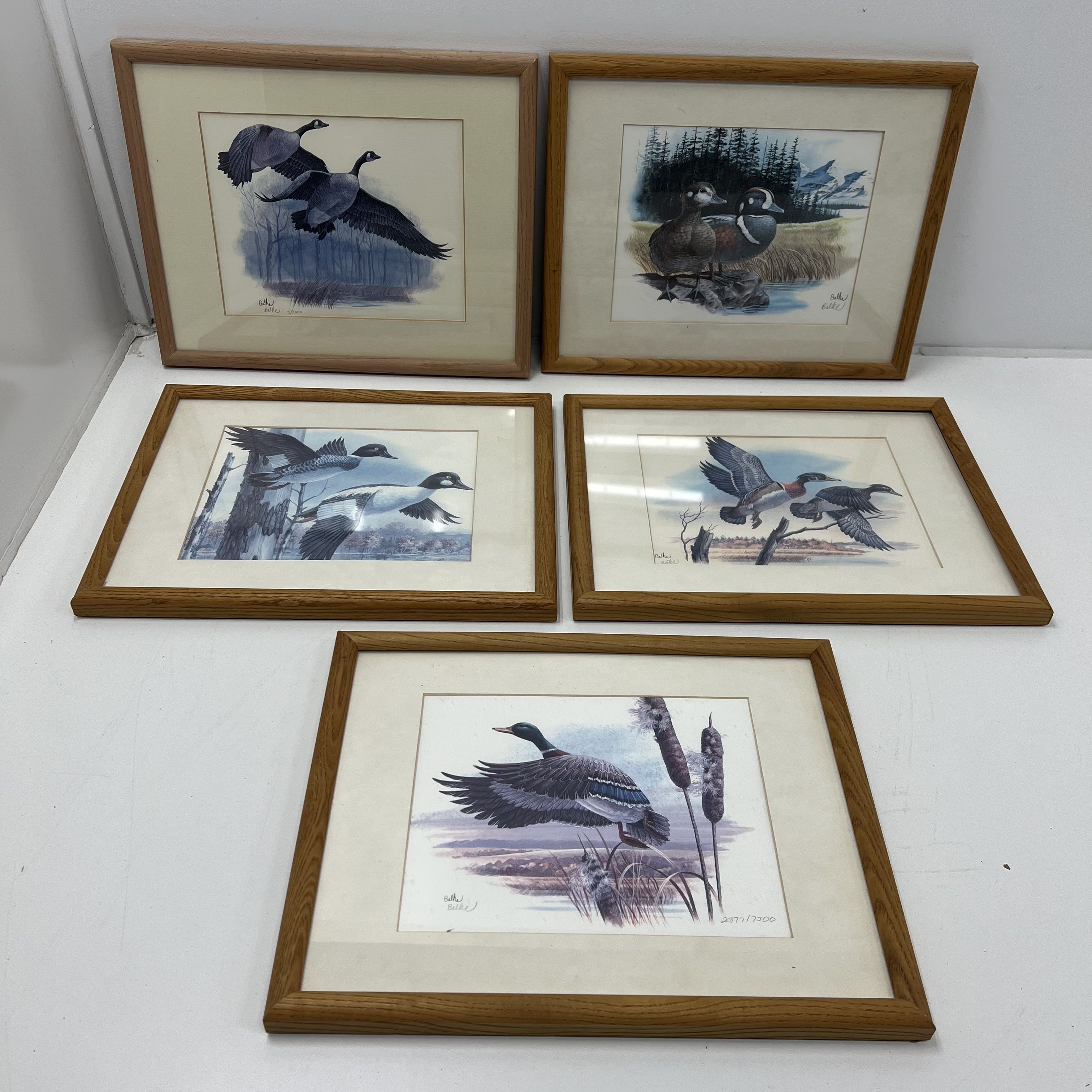 Signed Don Balke Duck Nature Litho Prints Framed Matted Lot of 5 Print Signed