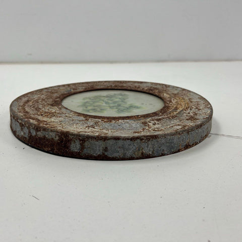 Vintage Rustic Metal Frame Succulent Botanical Print Round Wall Art 12.5"