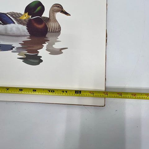 Vintage 1980 Richard Sloan Waterfowl Duck Goose Art Prints Set of 3 Lithograph