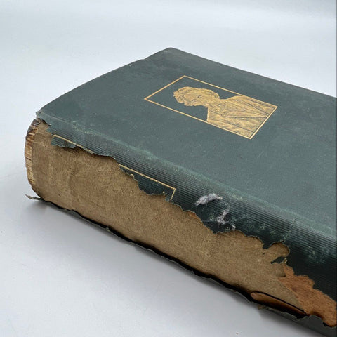 Antique James Chalmers His Autobiography & Letters Religious Tract Society Book