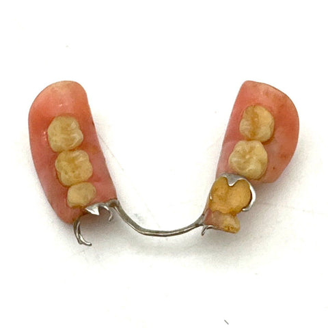 Vintage Partial Denture Mandibular Bridge Dental Oddity Medical Display Only
