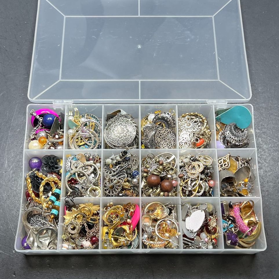 Case of Assorted Styles Earrings for Pierced Ears