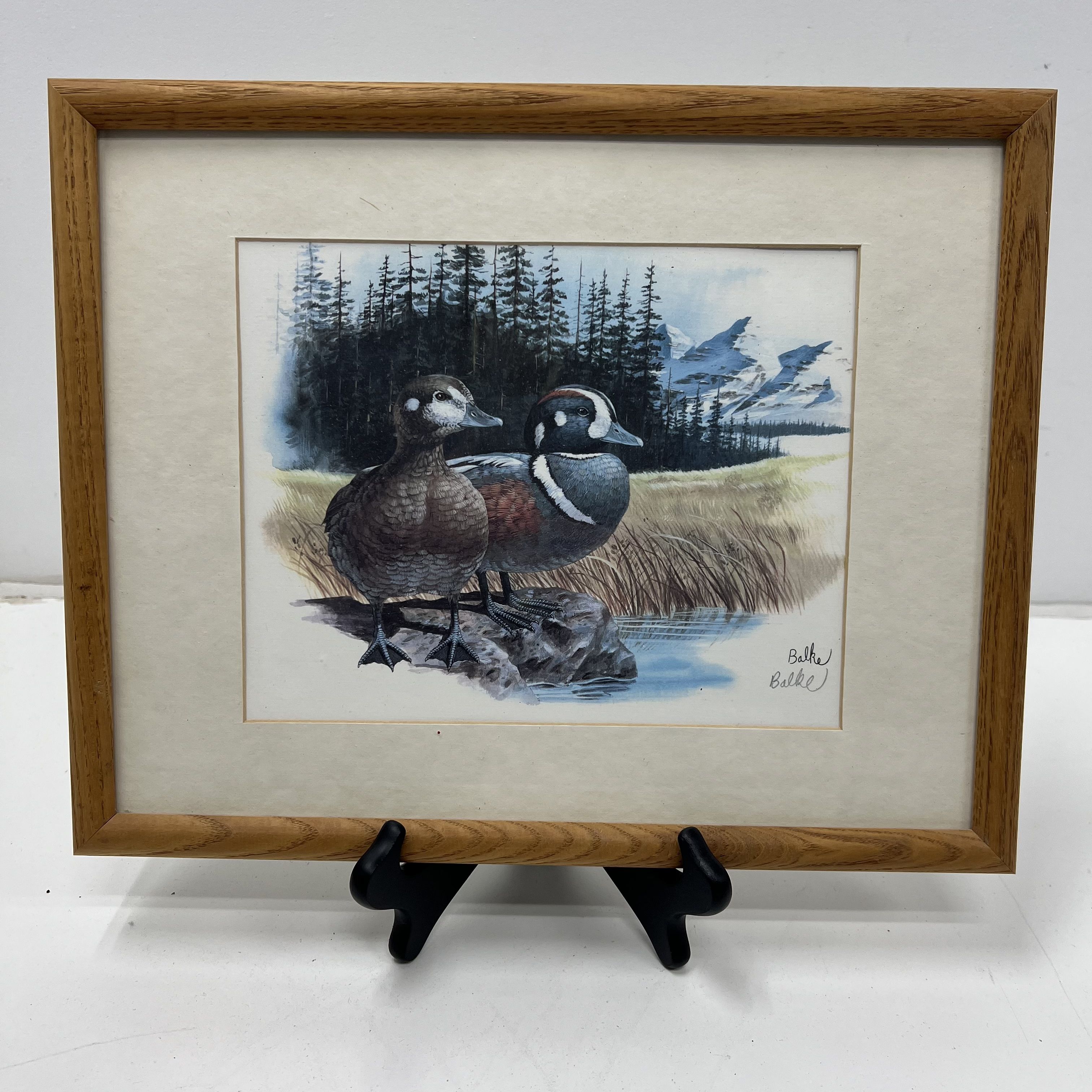 Signed Don Balke Duck Nature Litho Prints Framed Matted Lot of 5 Print Signed