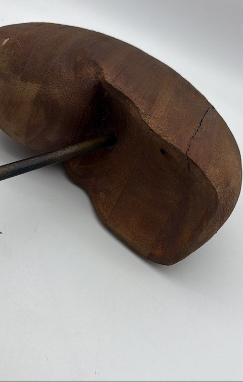 Unsigned Modernist Monkey Pod Wood Nautilus Spiral Sculpture 15.5" Original