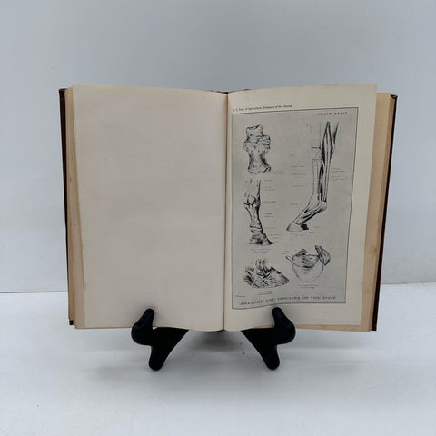 Antique 1923 Diseases of the Horse Book USDA Revised Edition Lloyd Thurston