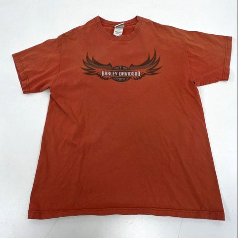 Lot 2 Vintage Y2K Harley-Davidson T-Shirt Sturgis Iowa USA Made Double Stitch L