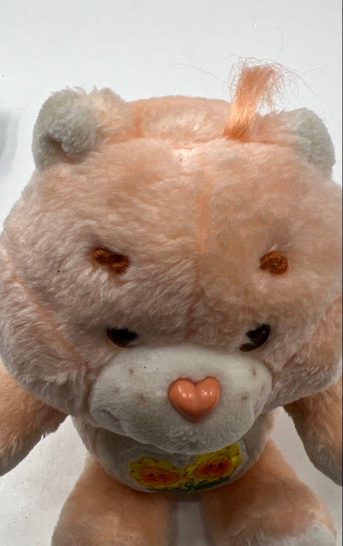 Care Bears Plush Lot Grumpy Bear and Friend Bear 10 Inch Stuffed Animals 2