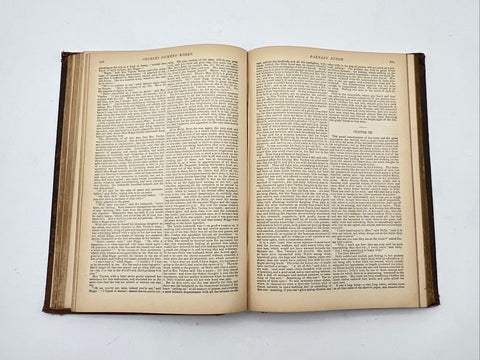 Antique P.F. Collier The Works of Charles Dickens Volume VI Barnaby Rudge 1880s