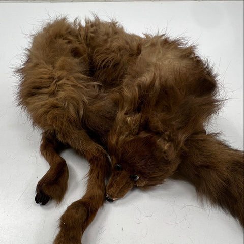 Vintage 40s Stix Baer & Fuller Women's Red Fox Fur Stole Full Body Scarf Brown