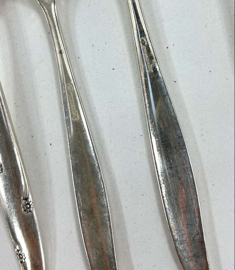 Community Morning Star & Rogers Remembrance Silver Plate 74pc Lot