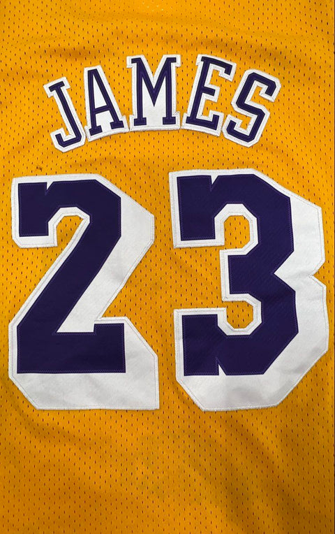 Adidas Los Angeles Lakers LeBron James #23 Hardwood Classics Jersey Gold Sz XS