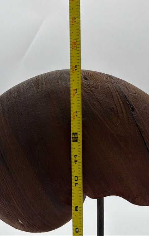 Unsigned Modernist Monkey Pod Wood Nautilus Spiral Sculpture 15.5" Original