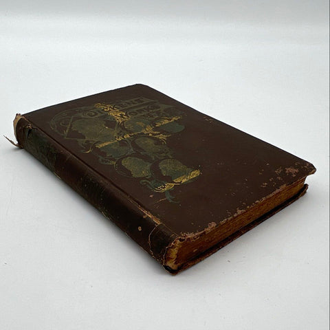 Antique P.F. Collier The Works of Charles Dickens Volume VI Barnaby Rudge 1880s