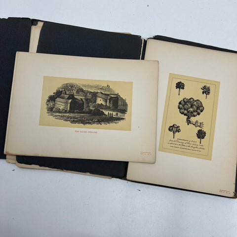 c.1900 Shakespeare Rare Print Collection Seymour Eaton Connoisseur Ed. Portfolio
