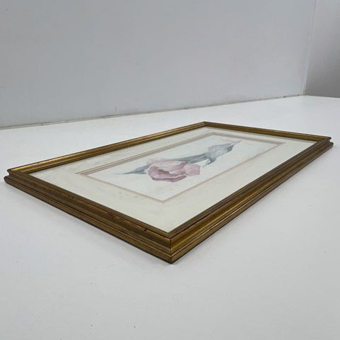 Debbie Copeland Signed Ltd Ed Print 493/1500 Tulip Floral Botanical Art Framed