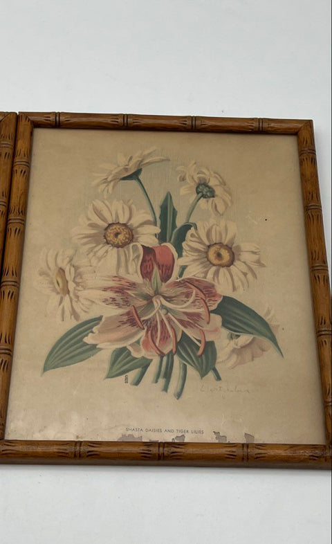 E. Witzleben Vintage Floral Prints Set 2 Gladiolas Lilies 8x10 Signed Framed