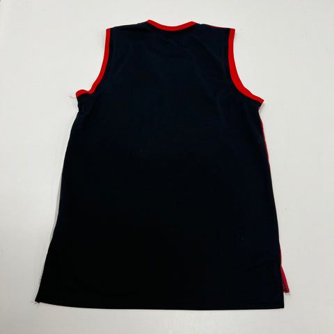 Jeff Hamilton Chicago Bulls NBA Colorblock Stitched Logo Jersey Sz M