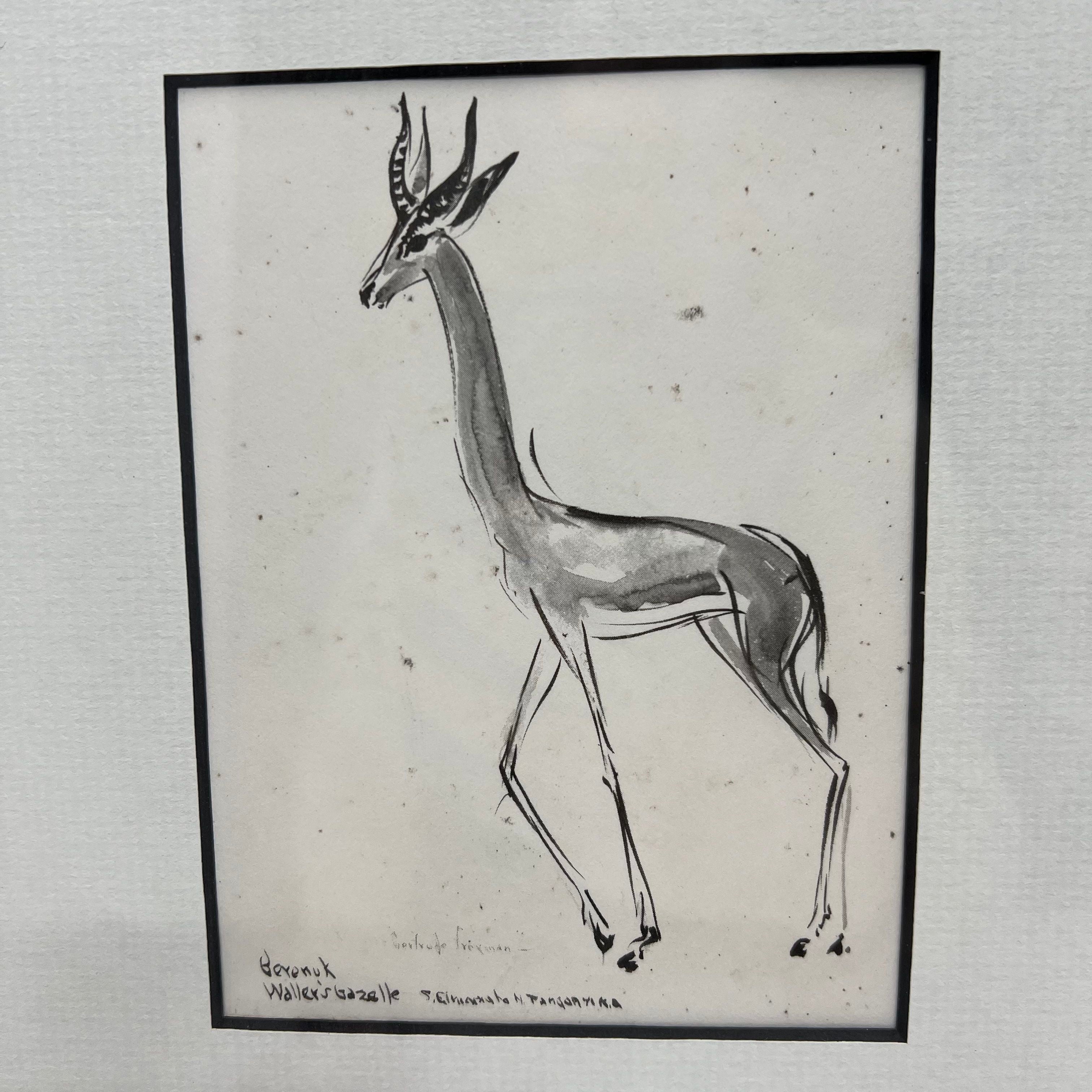 Original Gertrude Freyman Watercolors Signed Notes Framed Kansas City MO Artist