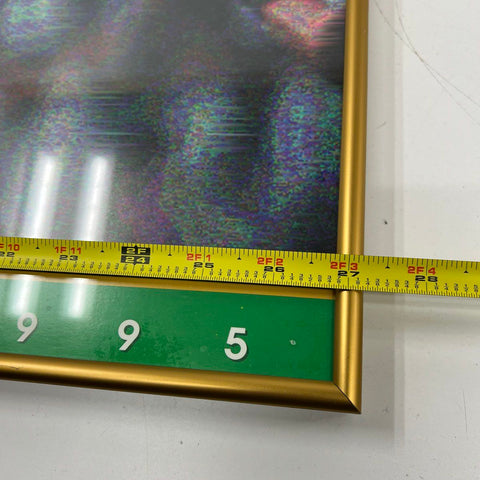 1995 Sun Bowl Framed Poster PAC 10 vs BIG 10 The Game Lenticular Vintage NCAA