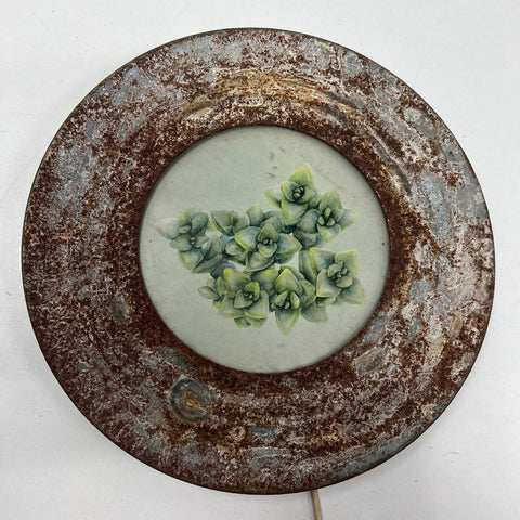 Vintage Rustic Metal Frame Succulent Botanical Print Round Wall Art 12.5"