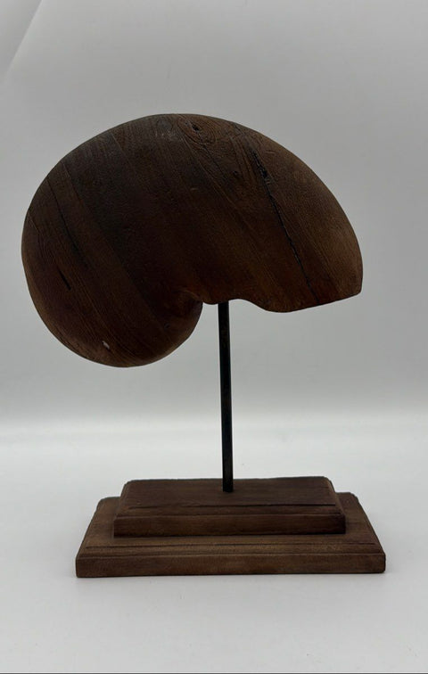 Unsigned Modernist Monkey Pod Wood Nautilus Spiral Sculpture 15.5" Original