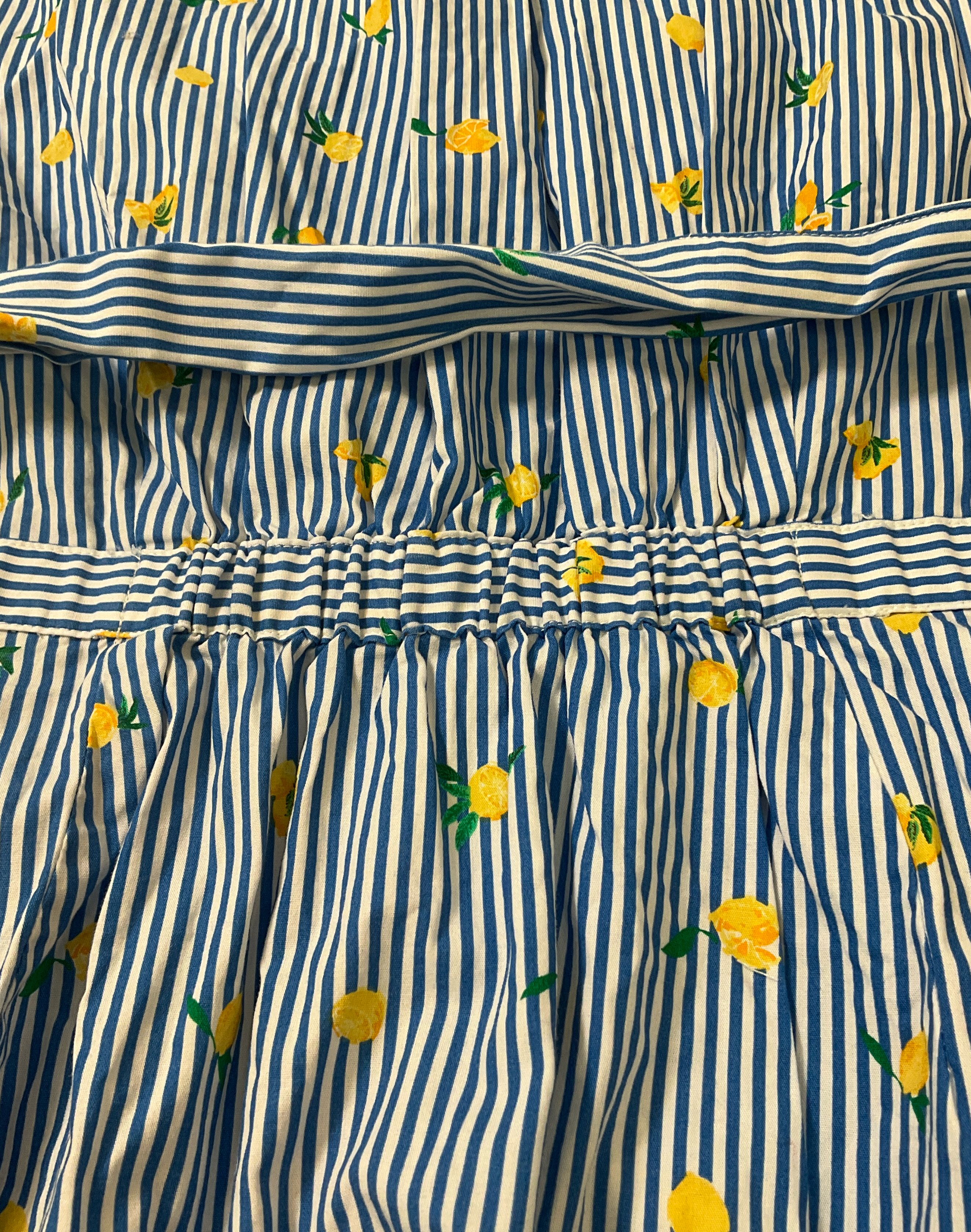 J. Crew Women's Blue & White Striped Lemon Shirt Dress Sleeveless Sz 2P NWT $89