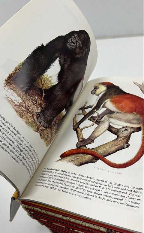 Vintage 1972 The Illustrated Encyclopedia Animal Kingdom 20 Volume Set