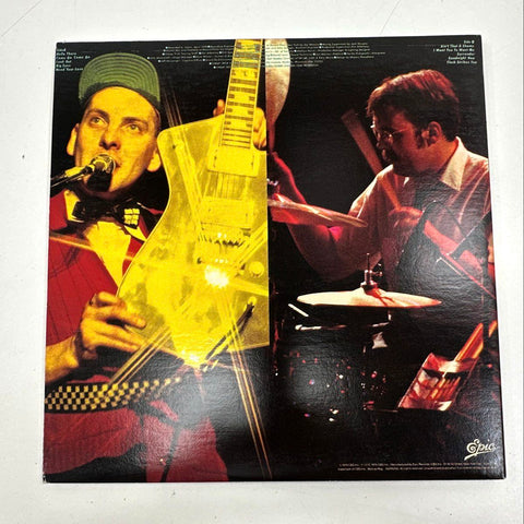 Cheap Trick LP Lot In Color at Budokan Classic Rock 1970s Epic 2 Records