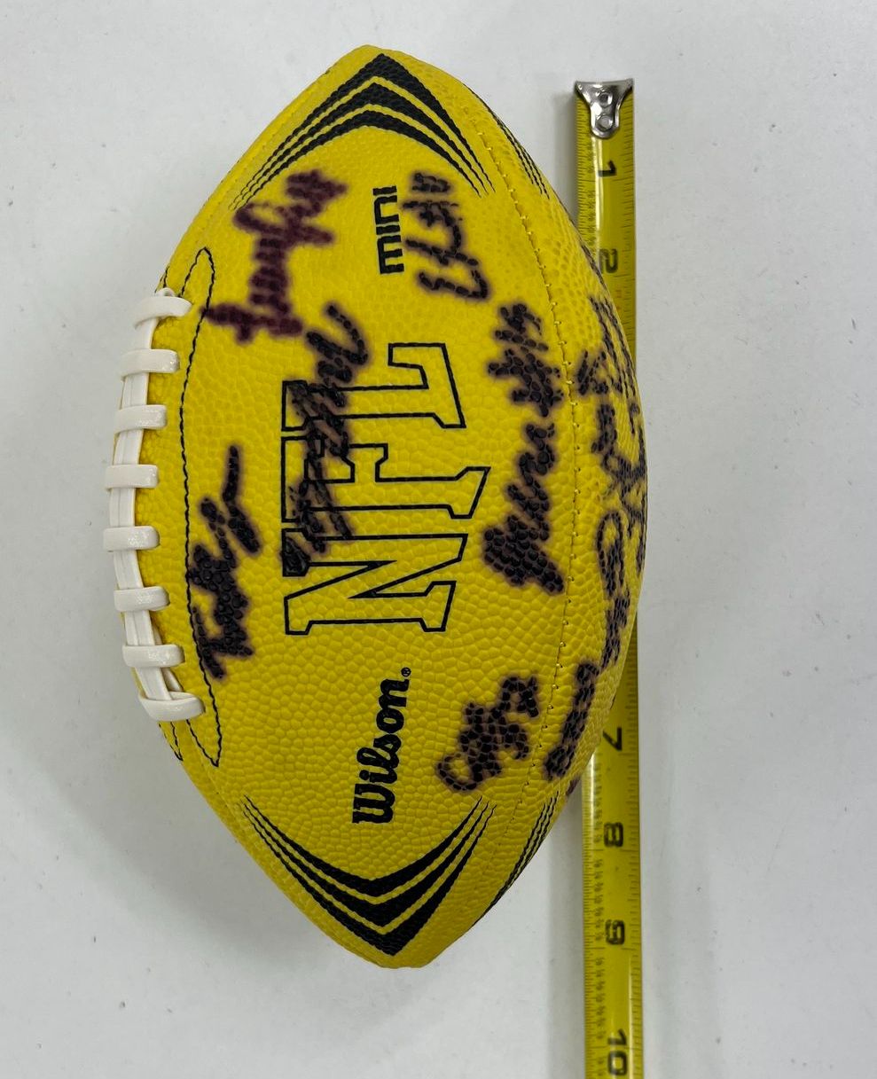 Wilson NFL Mini Football Multi-Signed Autographed Collectible Memorabilia