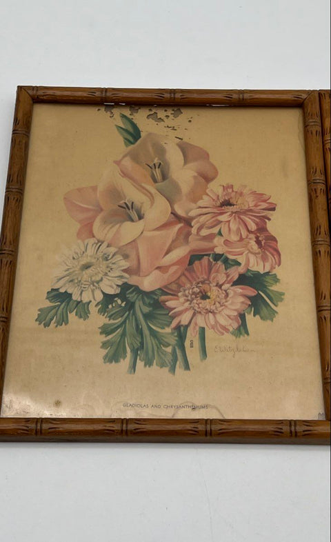 E. Witzleben Vintage Floral Prints Set 2 Gladiolas Lilies 8x10 Signed Framed