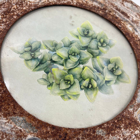 Vintage Rustic Metal Frame Succulent Botanical Print Round Wall Art 12.5"